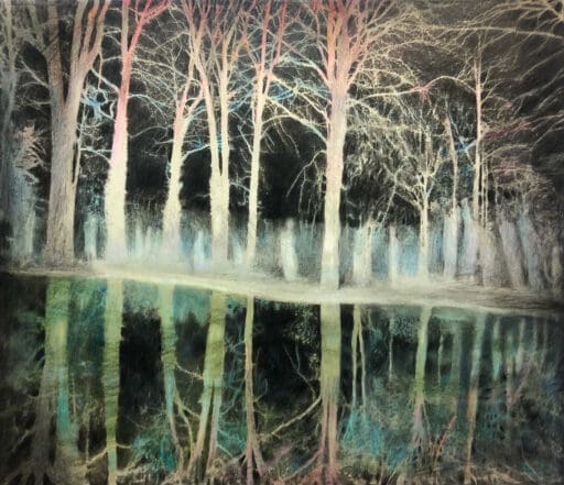 In the Night Forest, Anne Howeson artist, gouache conté crayon photograph, 2025